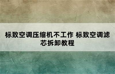 标致空调压缩机不工作 标致空调滤芯拆卸教程